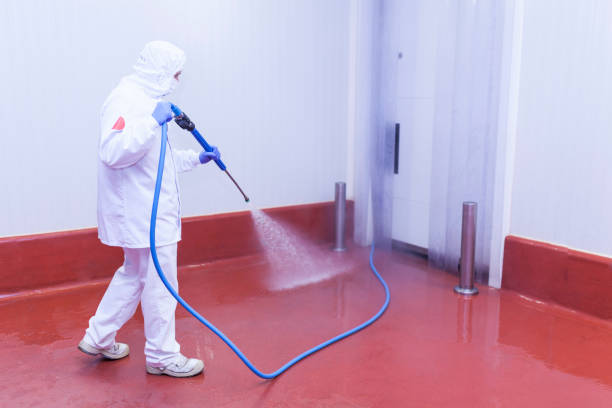 Boat and Dock Cleaning in Miramar Beach, FL